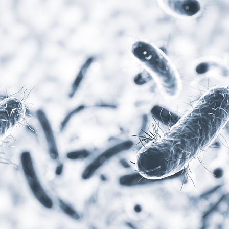 Test respirator SIBO hidrogen și metan în România – ghid pentru medici