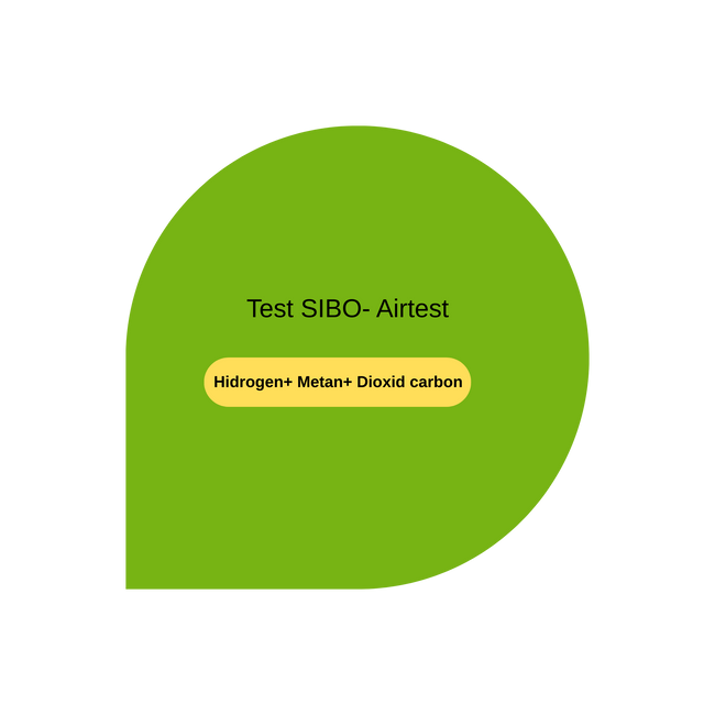 Test SIBO (Hidrogen+ Metan)